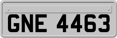 GNE4463