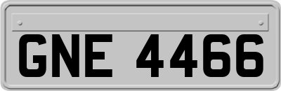 GNE4466