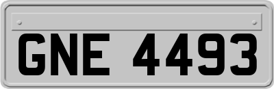 GNE4493