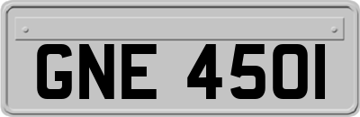 GNE4501