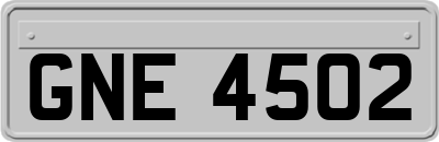GNE4502