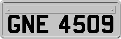 GNE4509