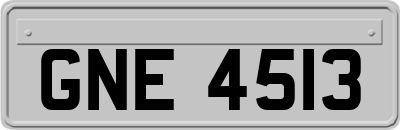 GNE4513