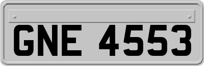 GNE4553