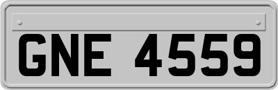 GNE4559