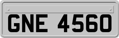 GNE4560
