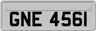 GNE4561