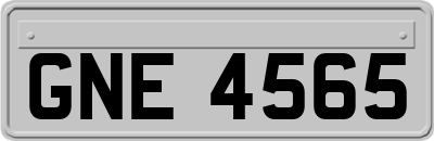 GNE4565