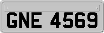 GNE4569