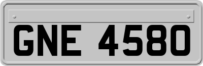 GNE4580