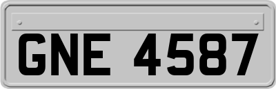 GNE4587