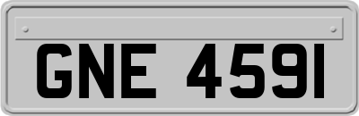 GNE4591