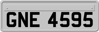 GNE4595