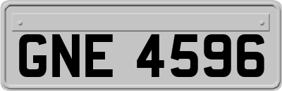 GNE4596