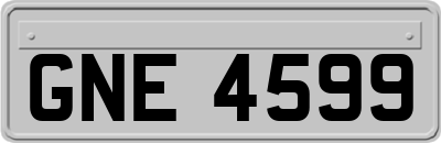 GNE4599