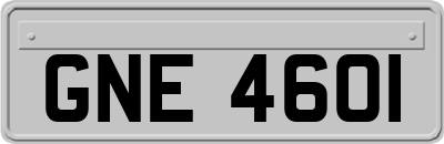 GNE4601