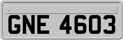GNE4603