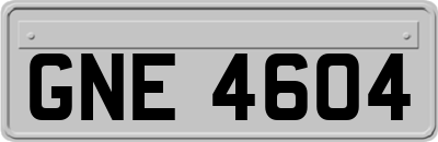 GNE4604