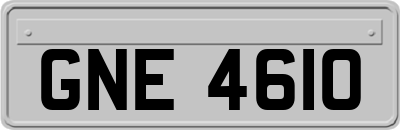 GNE4610