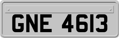 GNE4613
