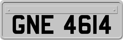 GNE4614