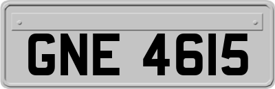 GNE4615