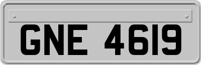 GNE4619