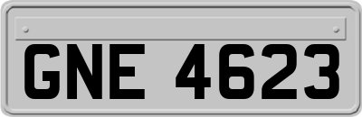 GNE4623
