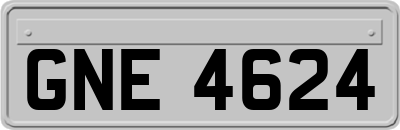 GNE4624