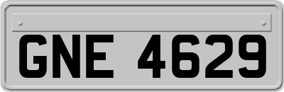 GNE4629