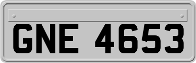 GNE4653