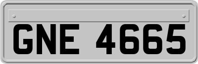 GNE4665