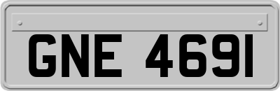 GNE4691