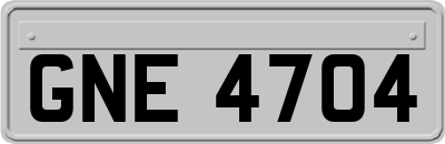 GNE4704