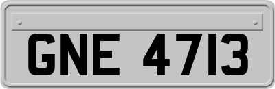 GNE4713