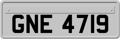 GNE4719