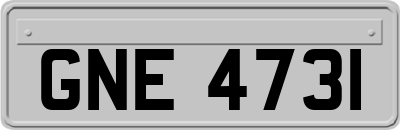 GNE4731
