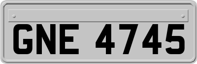 GNE4745