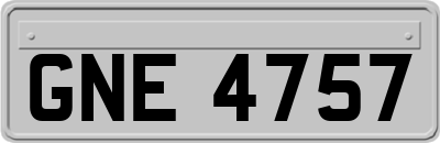 GNE4757