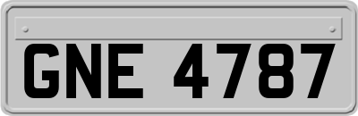GNE4787
