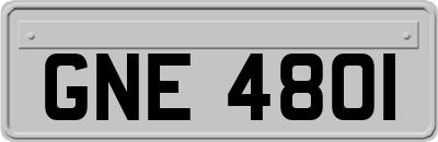 GNE4801