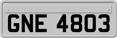 GNE4803