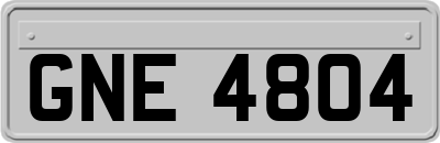 GNE4804