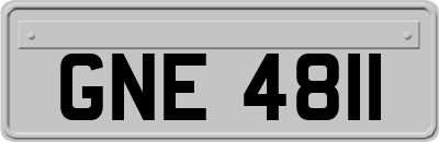 GNE4811