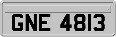 GNE4813