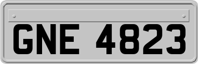 GNE4823