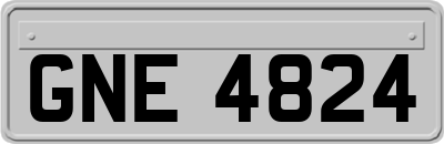 GNE4824