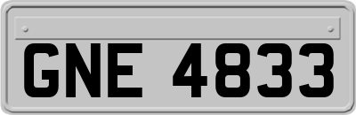 GNE4833