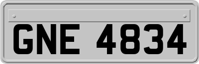 GNE4834