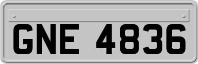 GNE4836